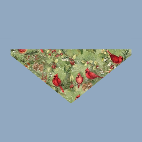 Cardinal Pet Bandana