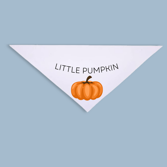 Little Pumpkin Pet Bandana