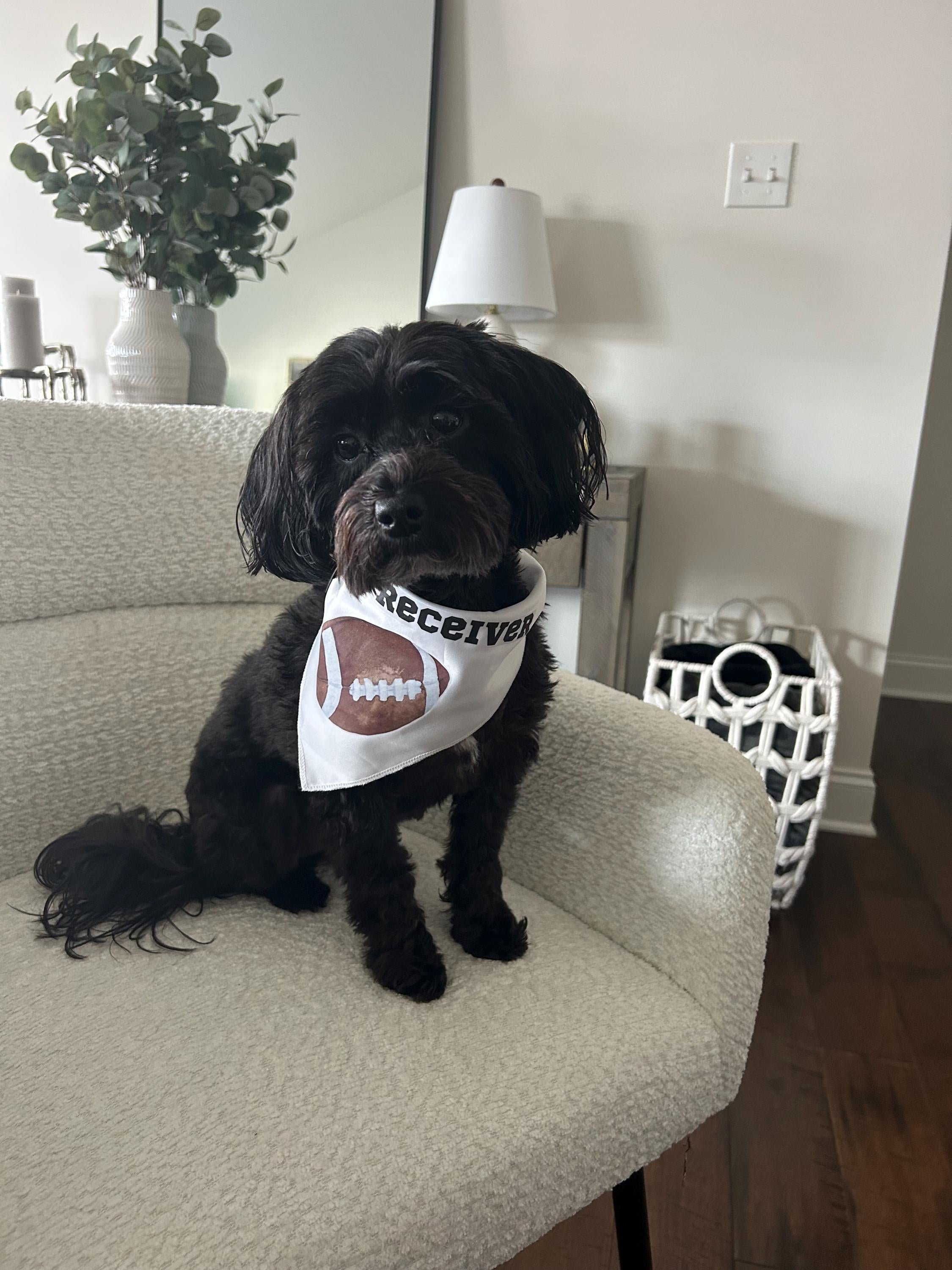 Little Receiver Football Pet Bandana, Sports Pet Accessory