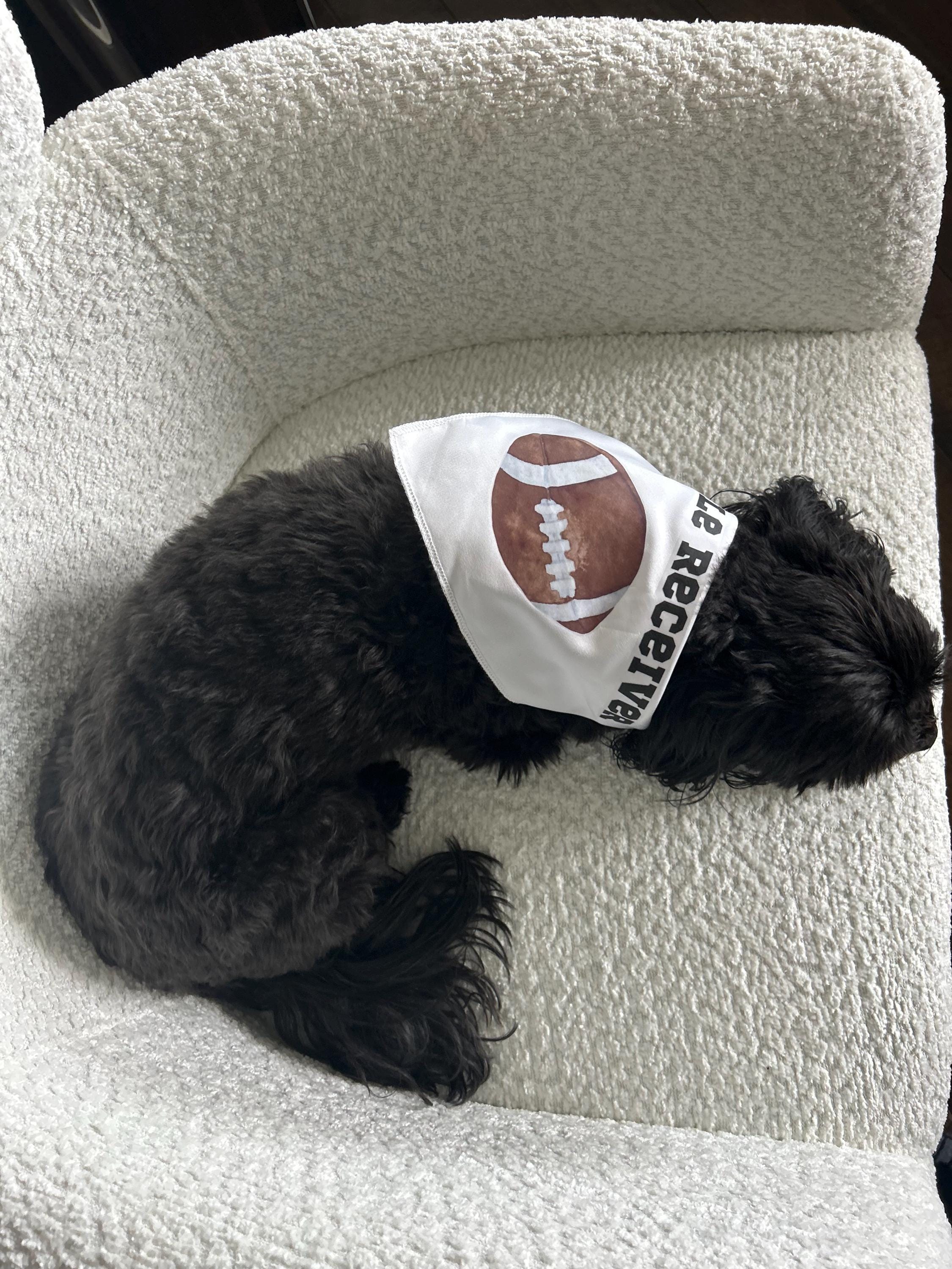 Little Receiver Football Pet Bandana, Sports Pet Accessory