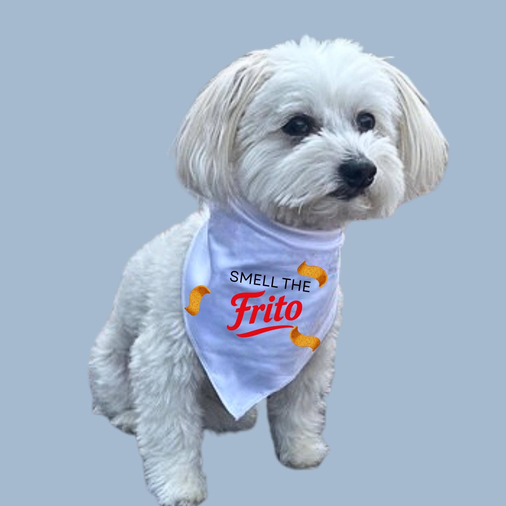 Smell the Frito Dog Bandana, Funny Pet Scarf, Corn Chip Dog Lover Gift