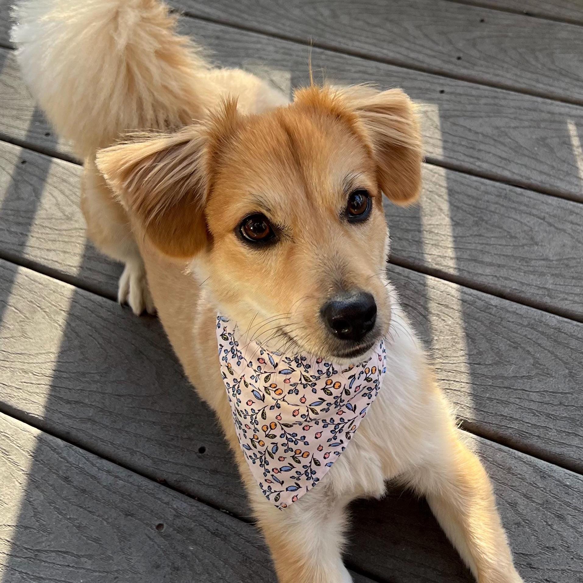 Hand-Sewn Floral Dog Bandana, Cotton Pet Scarf, Spring Dog Accessory