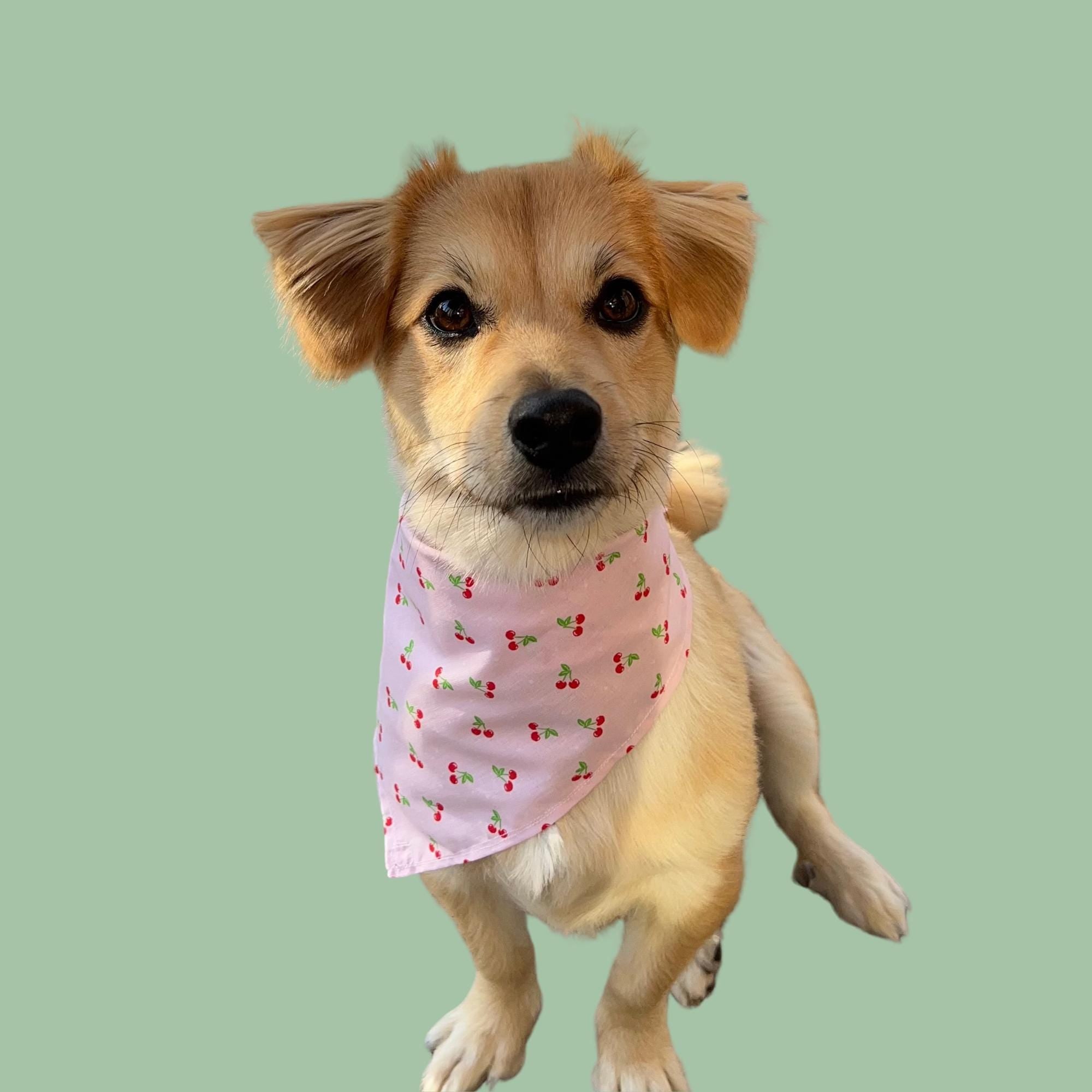 Cherry Dog Bandana, Hand-Sewn Pink Pet Scarf, Cute Cotton Dog Accessory