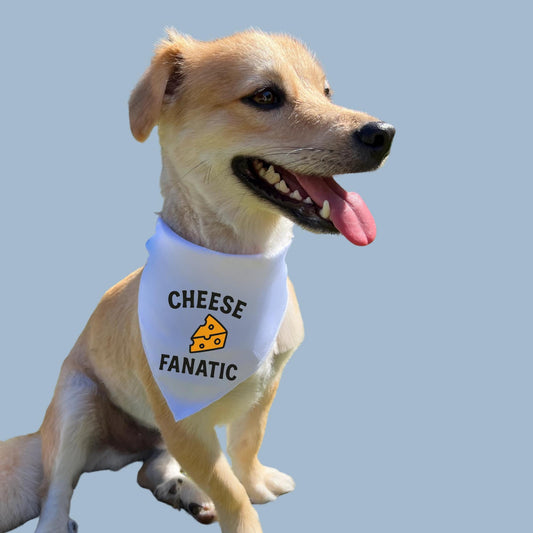 Cheese Dog Bandana, Funny Dog Lover Gift, Foodie Pet Scarf for Dogs
