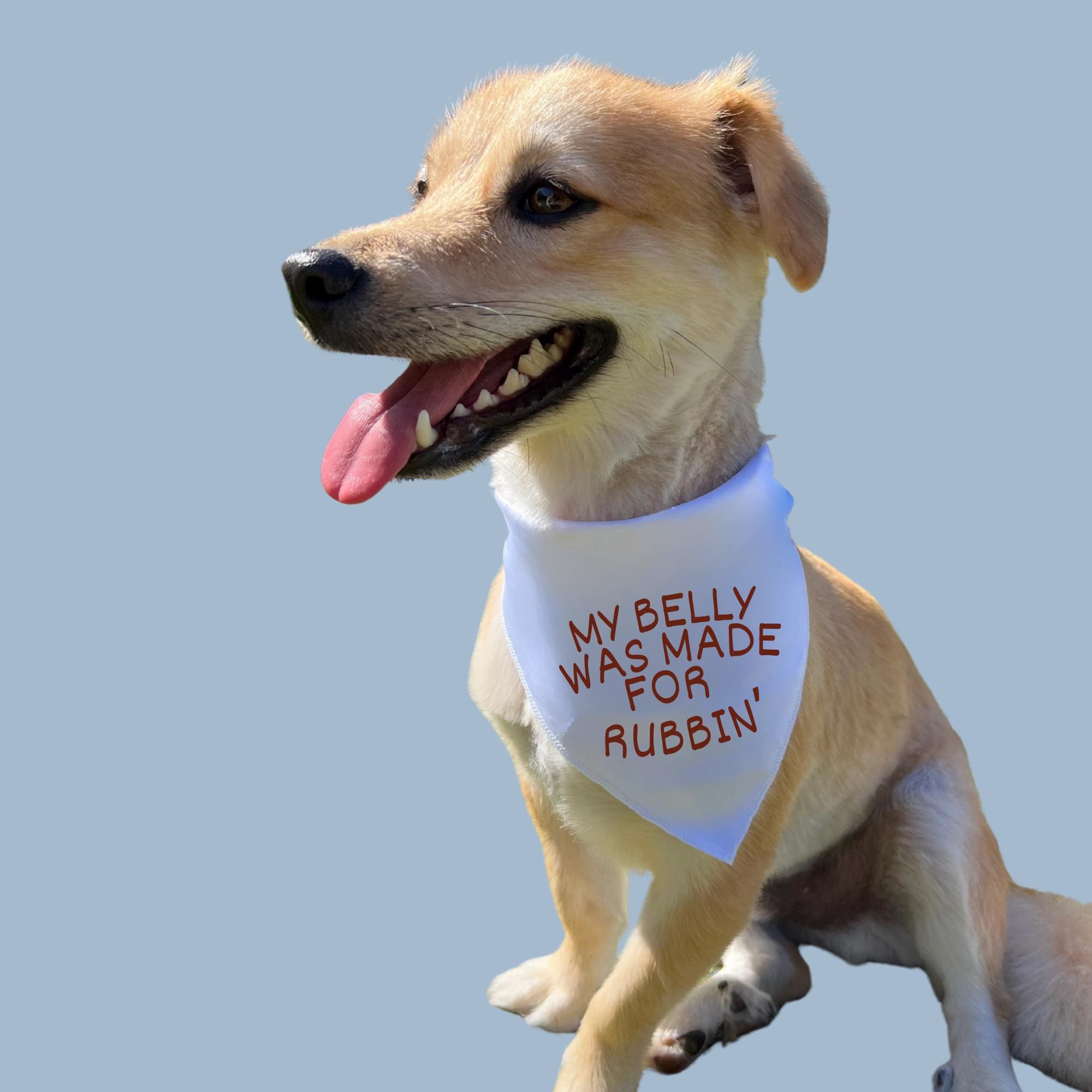 Funny Dog Bandana, Belly Rub Dog Scarf, Cute Pet Accessory for Dog Lovers