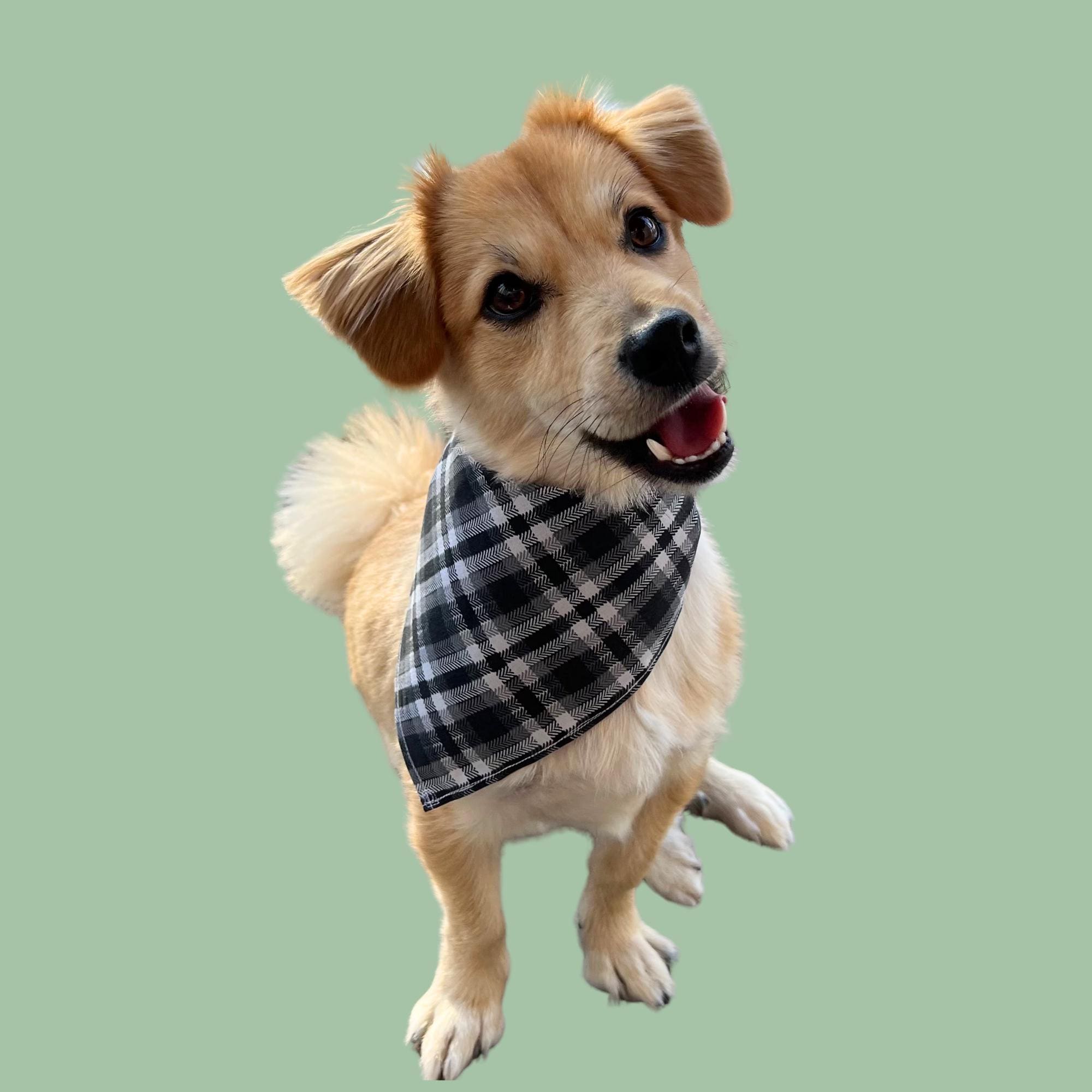 Hand-Sewn Plaid Dog Bandana, Cotton Pet Scarf, Black and White Dog Accessory