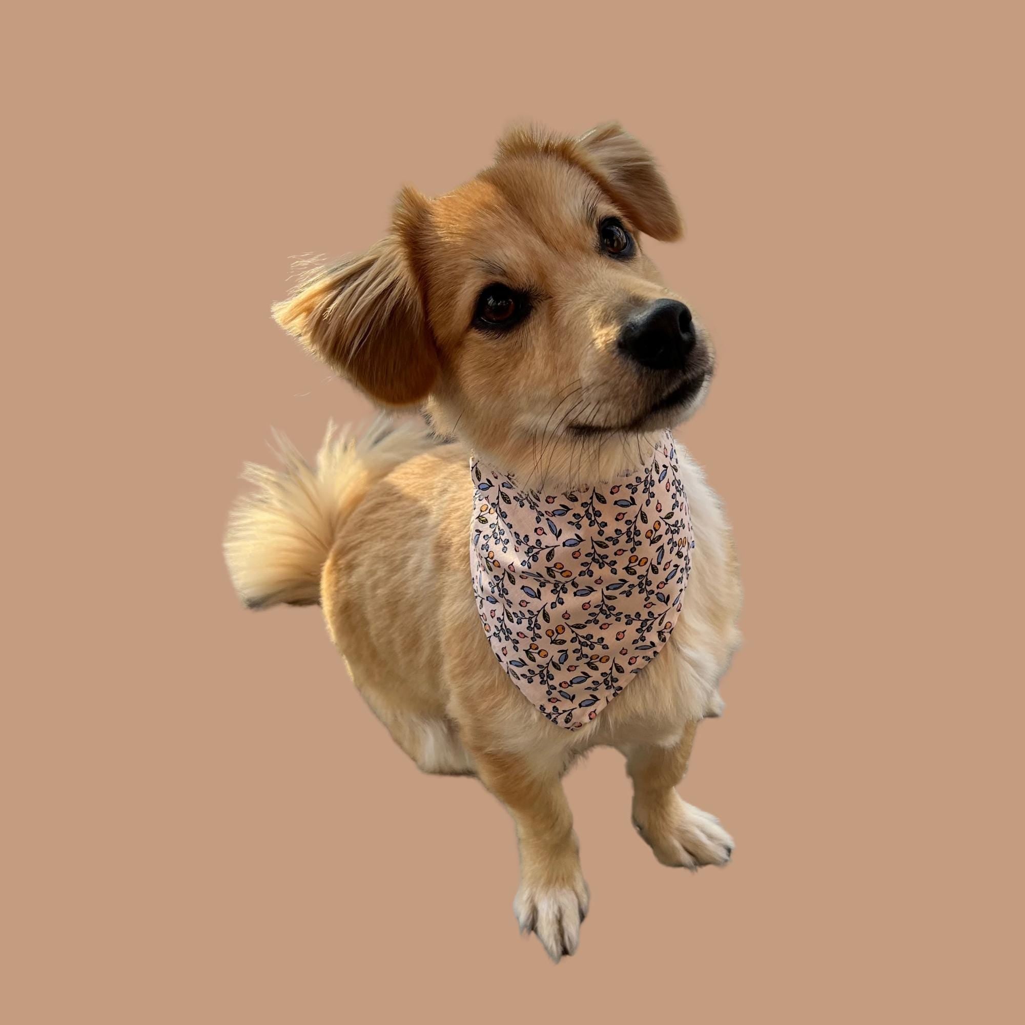 Hand-Sewn Floral Dog Bandana, Cotton Pet Scarf, Spring Dog Accessory