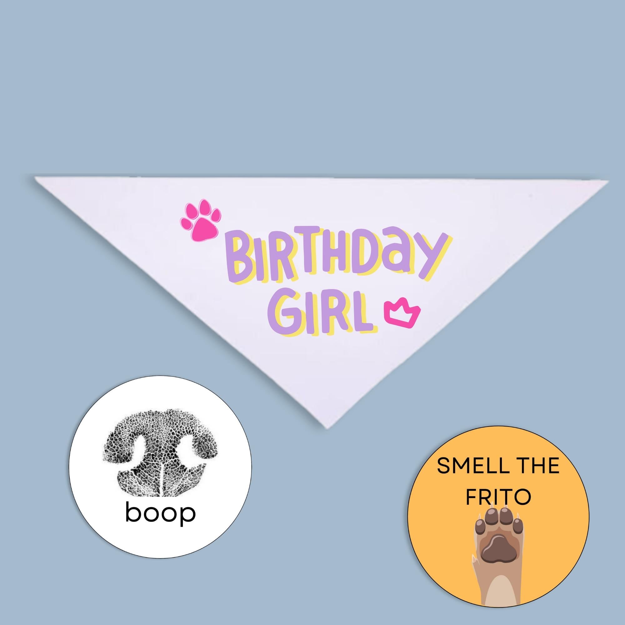 Dog Birthday Gift Set, Pawty Pack with Bandana & Stickers, Custom Dog Birthday Outfit