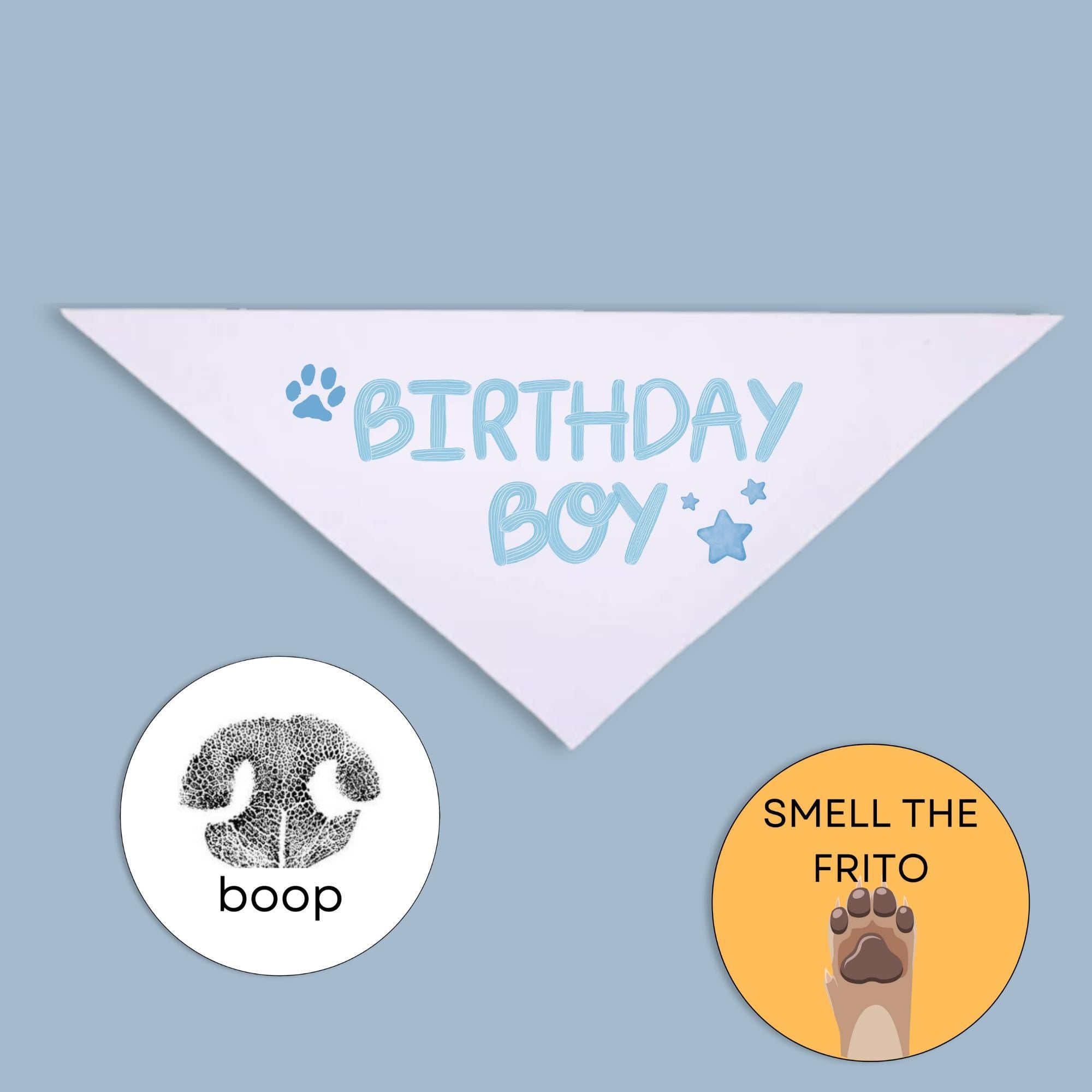 Dog Birthday Gift Set, Pawty Pack with Bandana & Stickers, Custom Dog Birthday Outfit