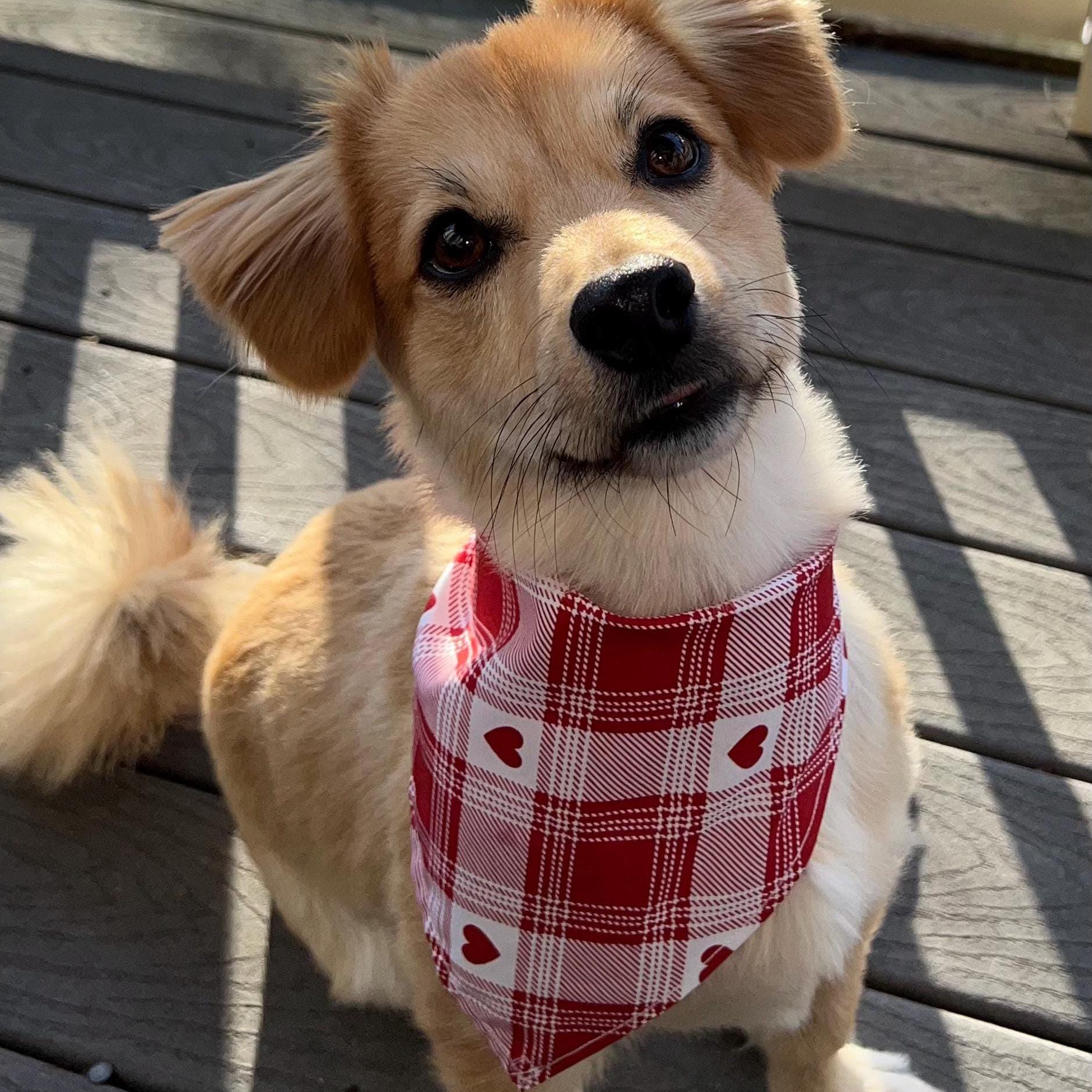 Plaid Heart Pet Bandana, Cute & Comfortable Pet Scarf, Hand-sewn