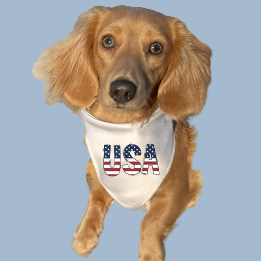 USA Dog Bandana – Patriotic Pet Scarf, 4th of July Outfit