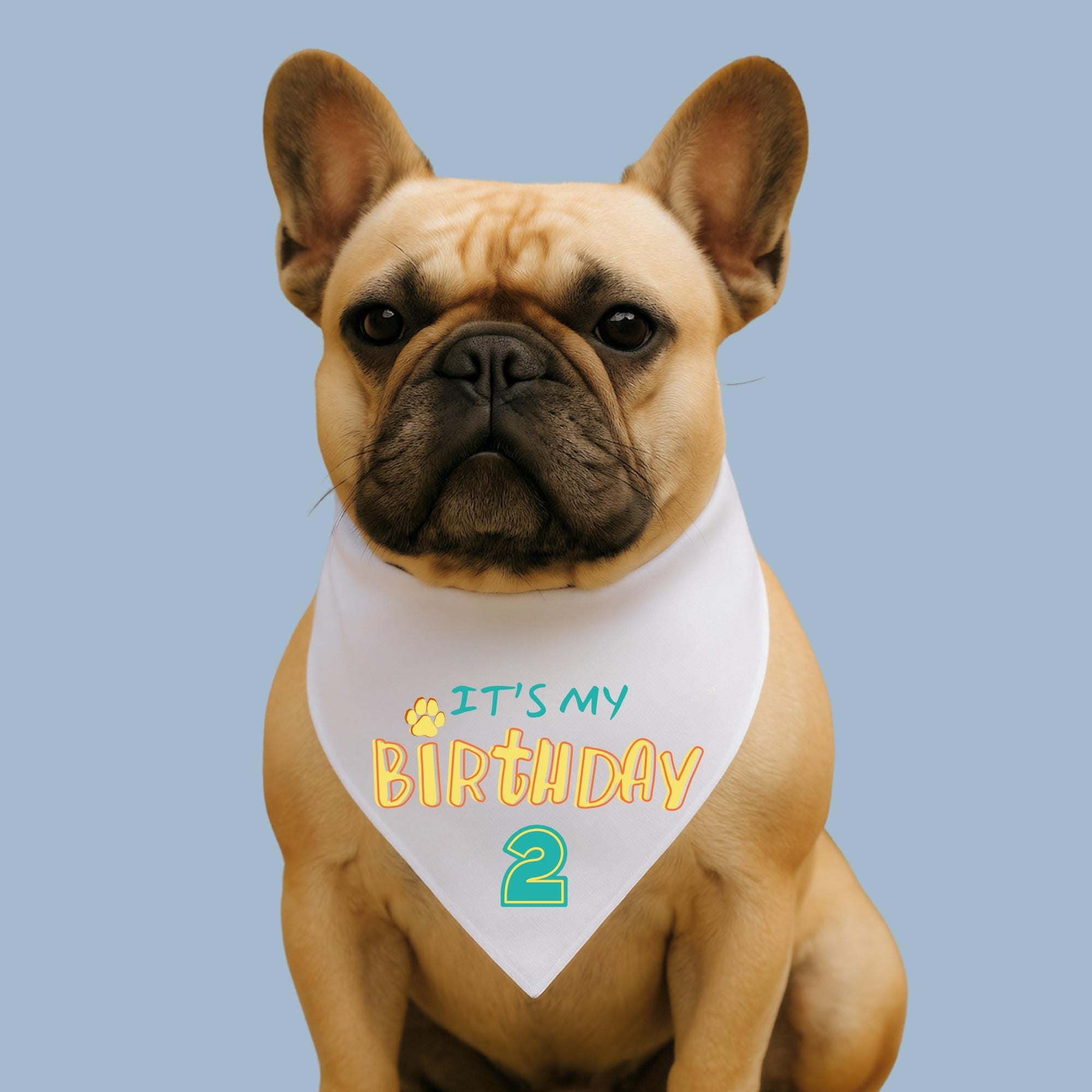 It’s My Birthday Dog Bandana, Custom Age Pet Scarf, Birthday Dog Outfit