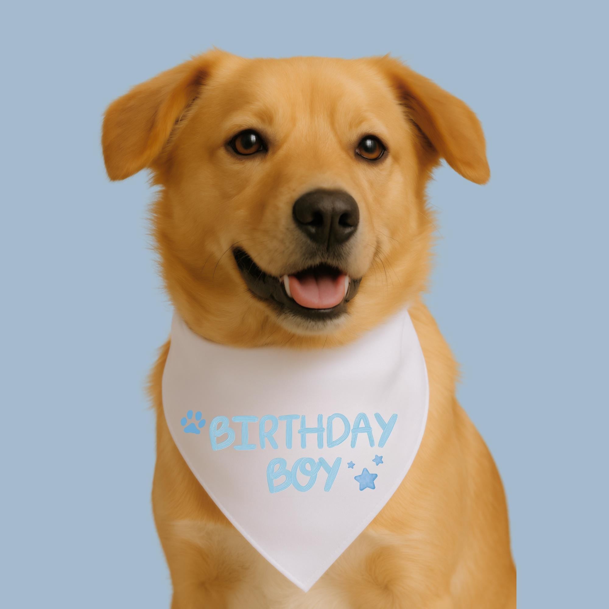 Birthday Boy Dog Bandana, Cute Dog Birthday Outfit, Blue Pet Scarf