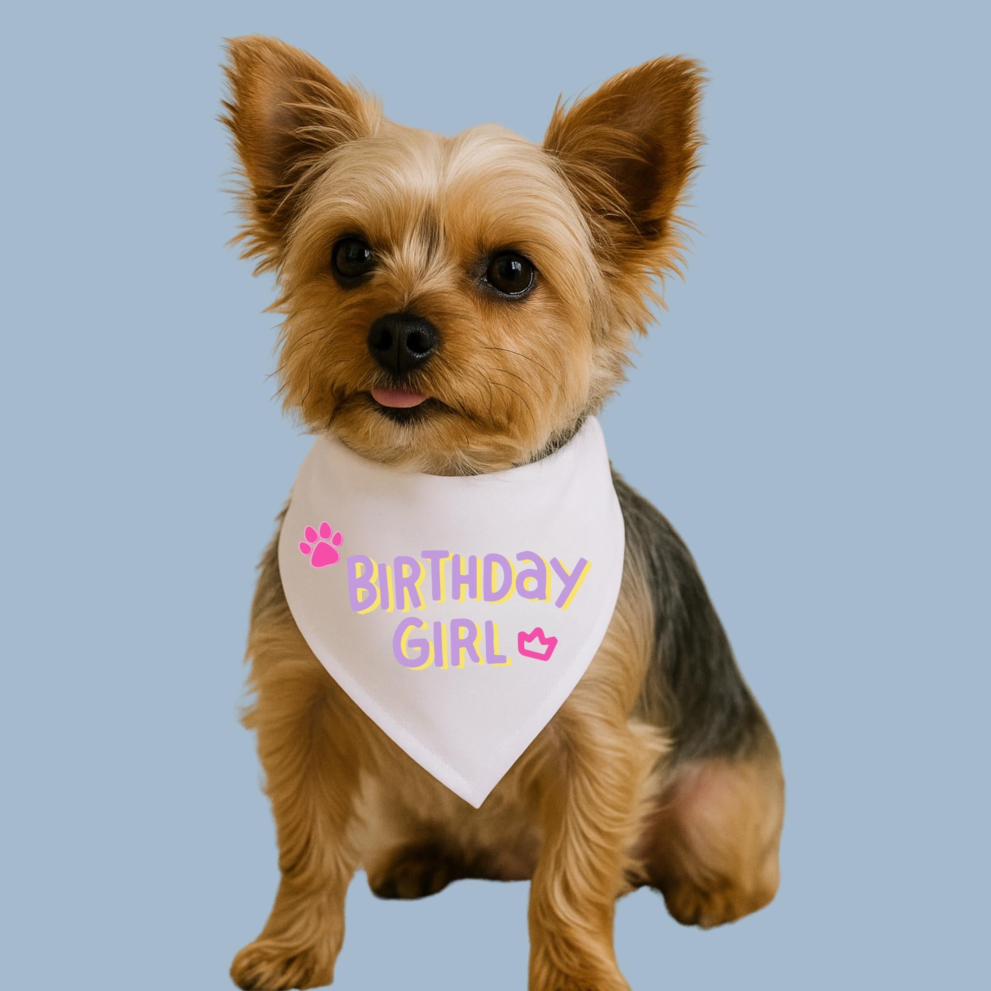 Dog Birthday Gift Set, Pawty Pack with Bandana & Stickers, Custom Dog Birthday Outfit