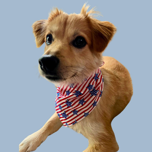 American Flag Dog Bandana – Hand-sewn Stars & Stripes Pet Scarf, 4th of July Outfit