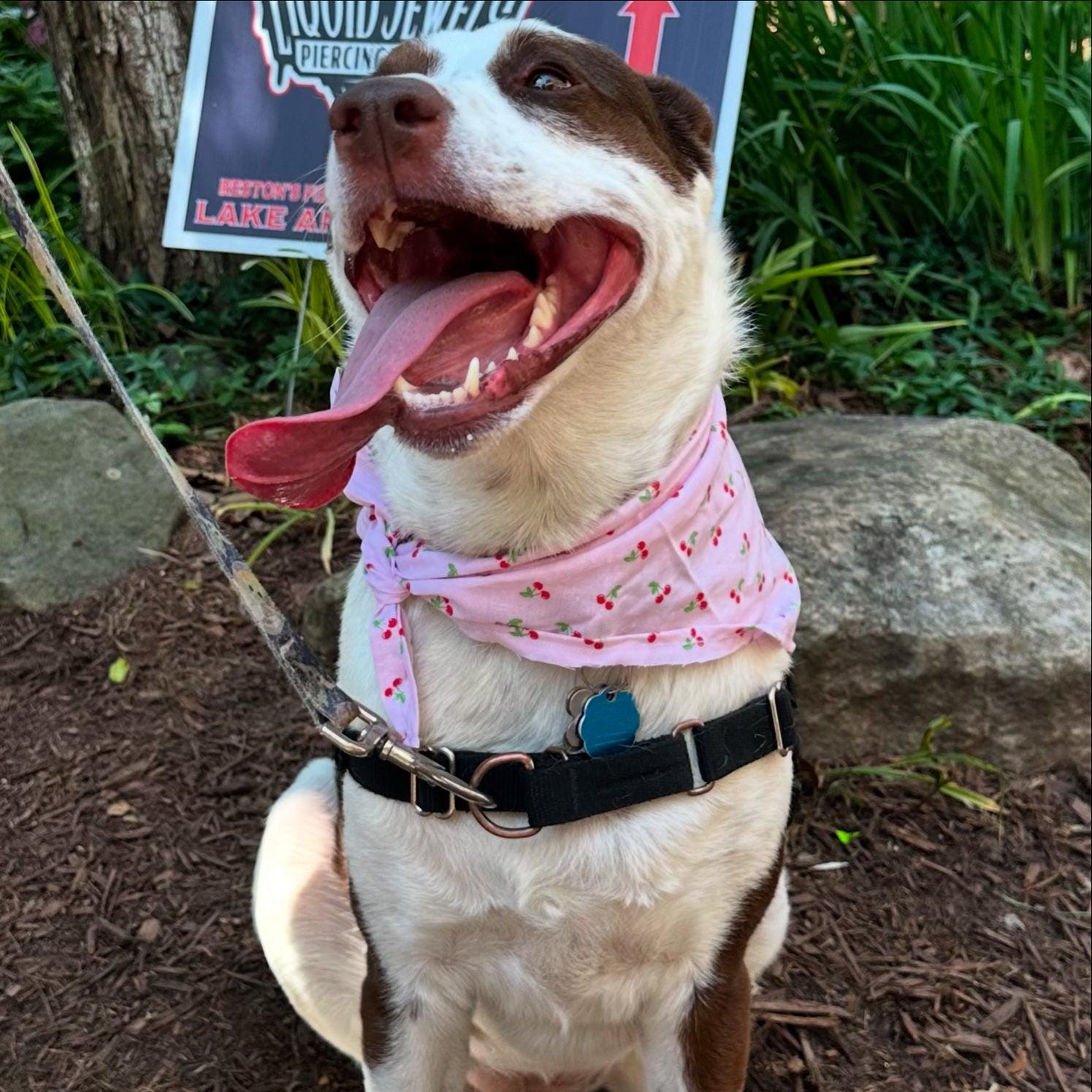 Personalized Summer Pup Portrait Tote