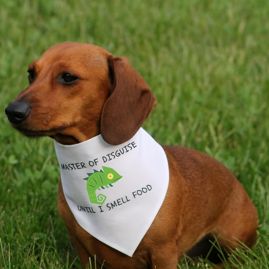 Chameleon Disguise Dog Bandana - Dog Dayz Summer Collection