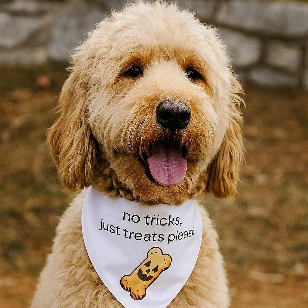 No Tricks Just Treats Dog Bandana – Halloween Pet Accessory