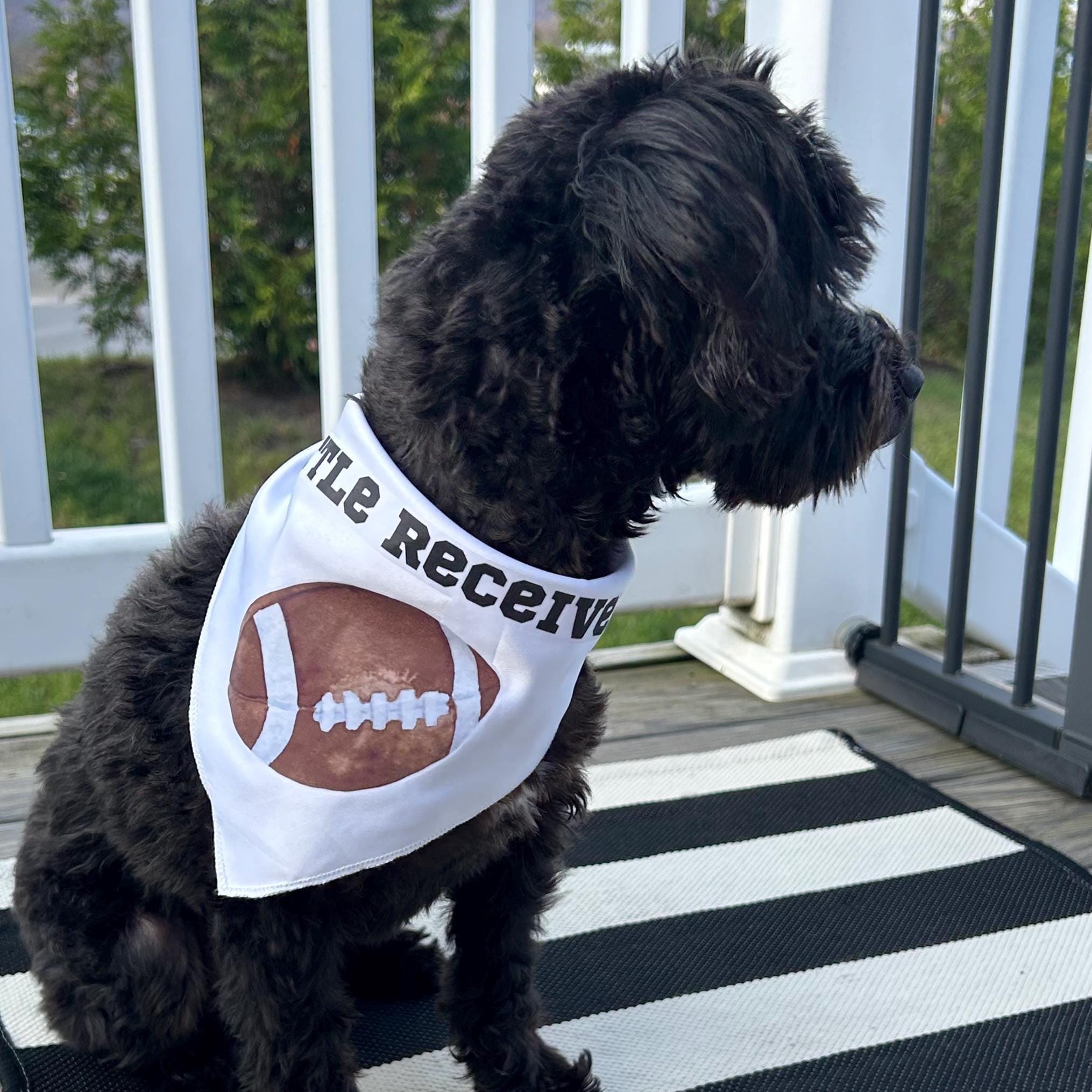 Little Receiver Dog Bandana – Football Game Day Pet Accessory