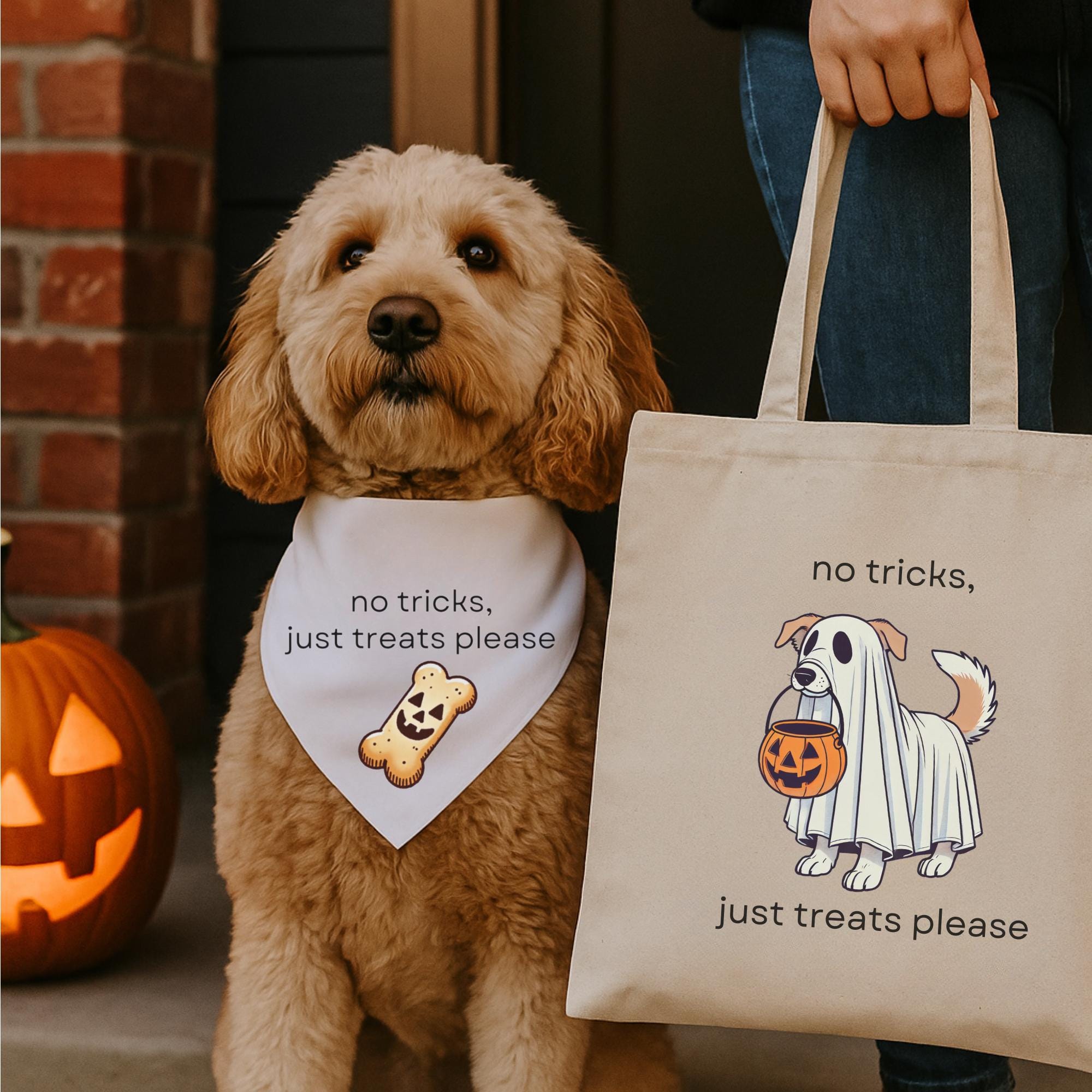 No Tricks Just Treats Dog Bandana + Halloween Tote Bag Set – Spooky Cute Gift