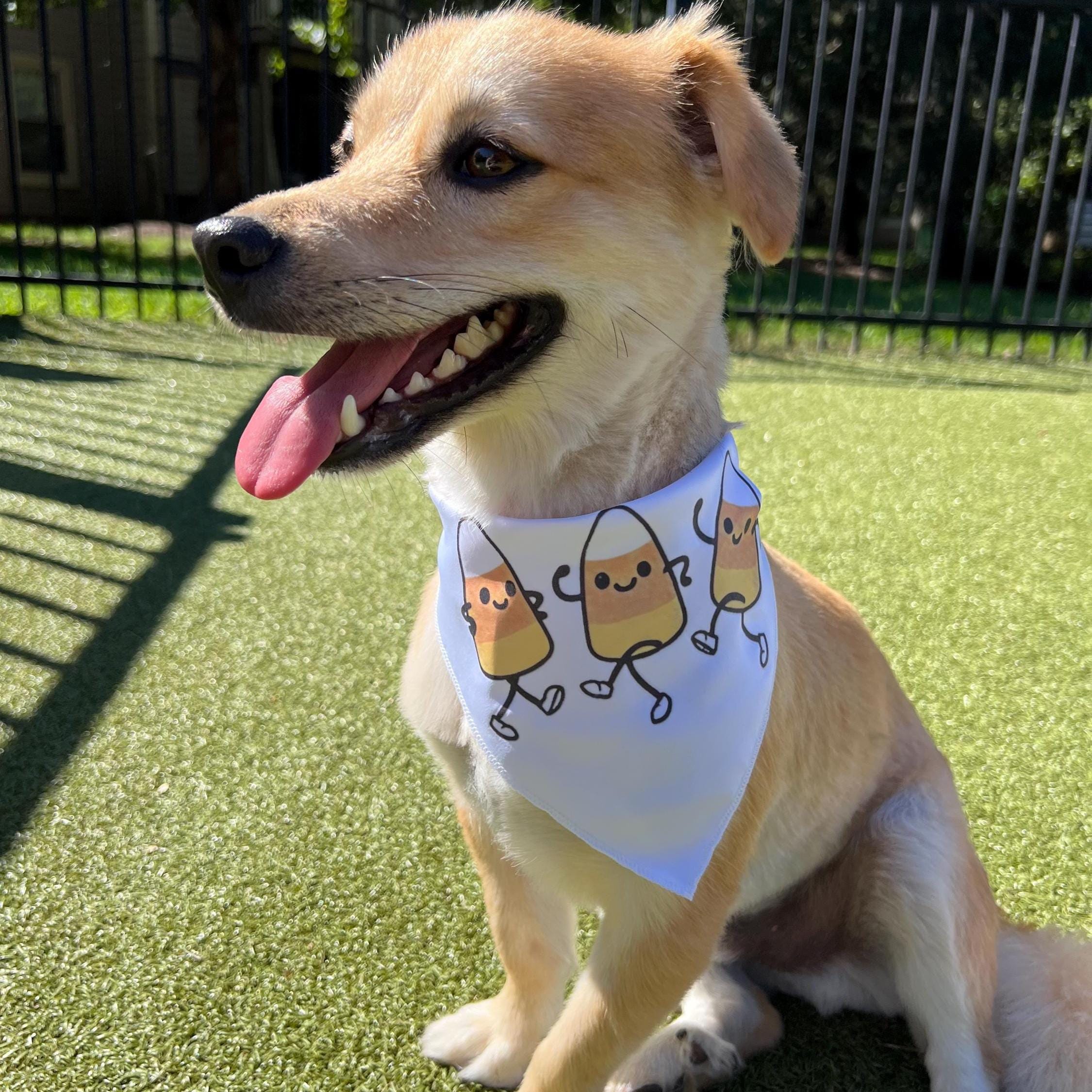Dancing Candy Corn Dog Bandana – Cute Halloween Style