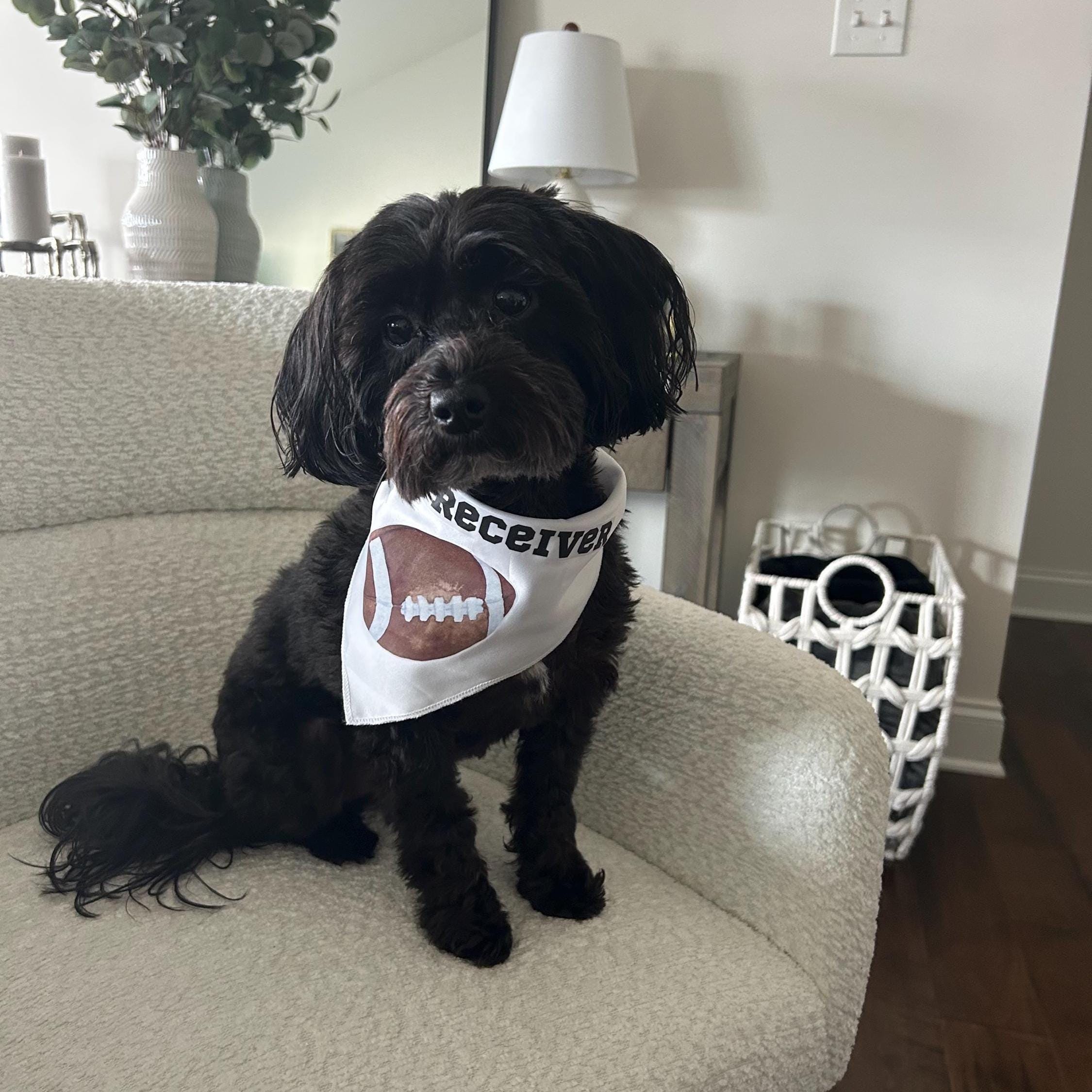 Little Receiver Dog Bandana – Football Game Day Pet Accessory