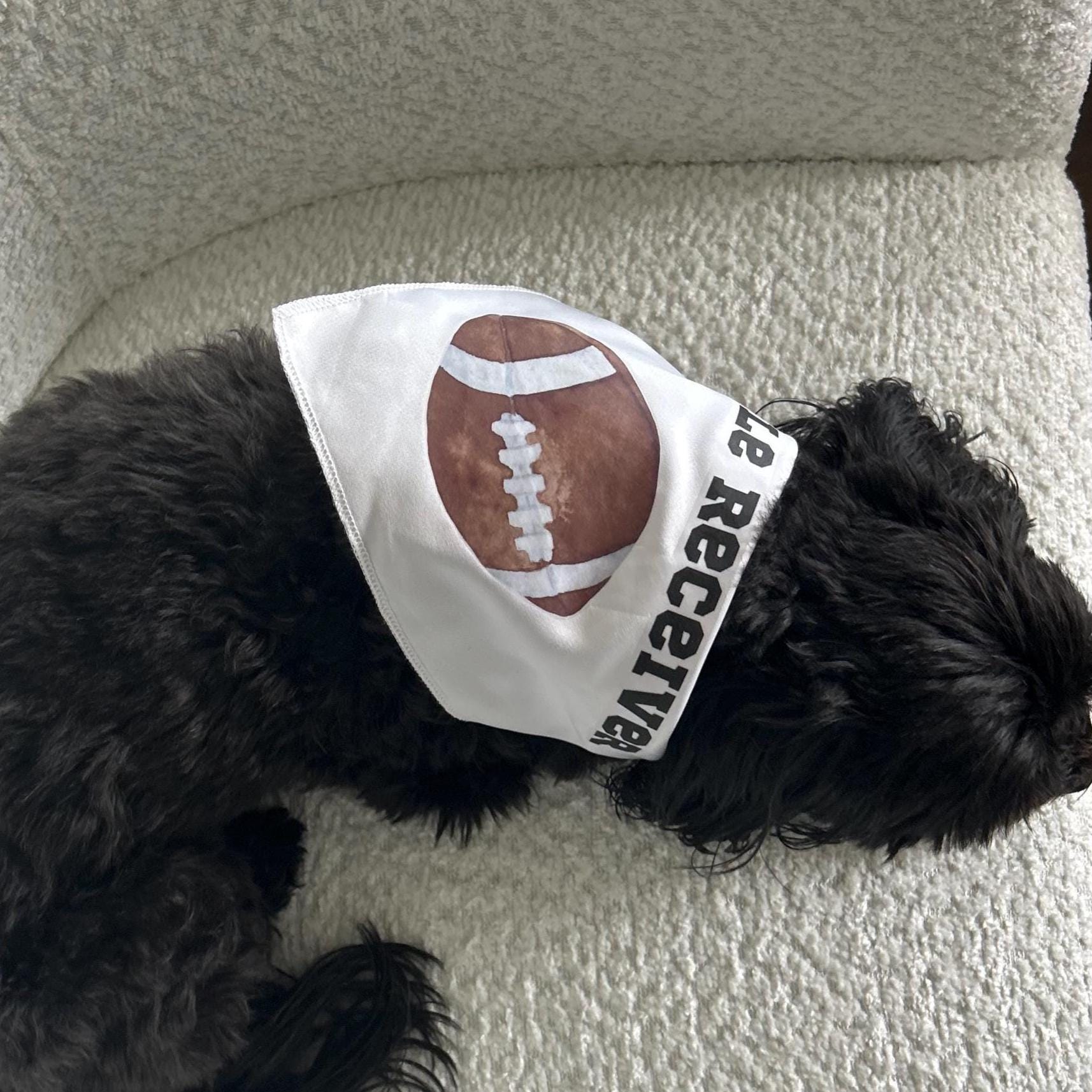 Little Receiver Dog Bandana – Football Game Day Pet Accessory