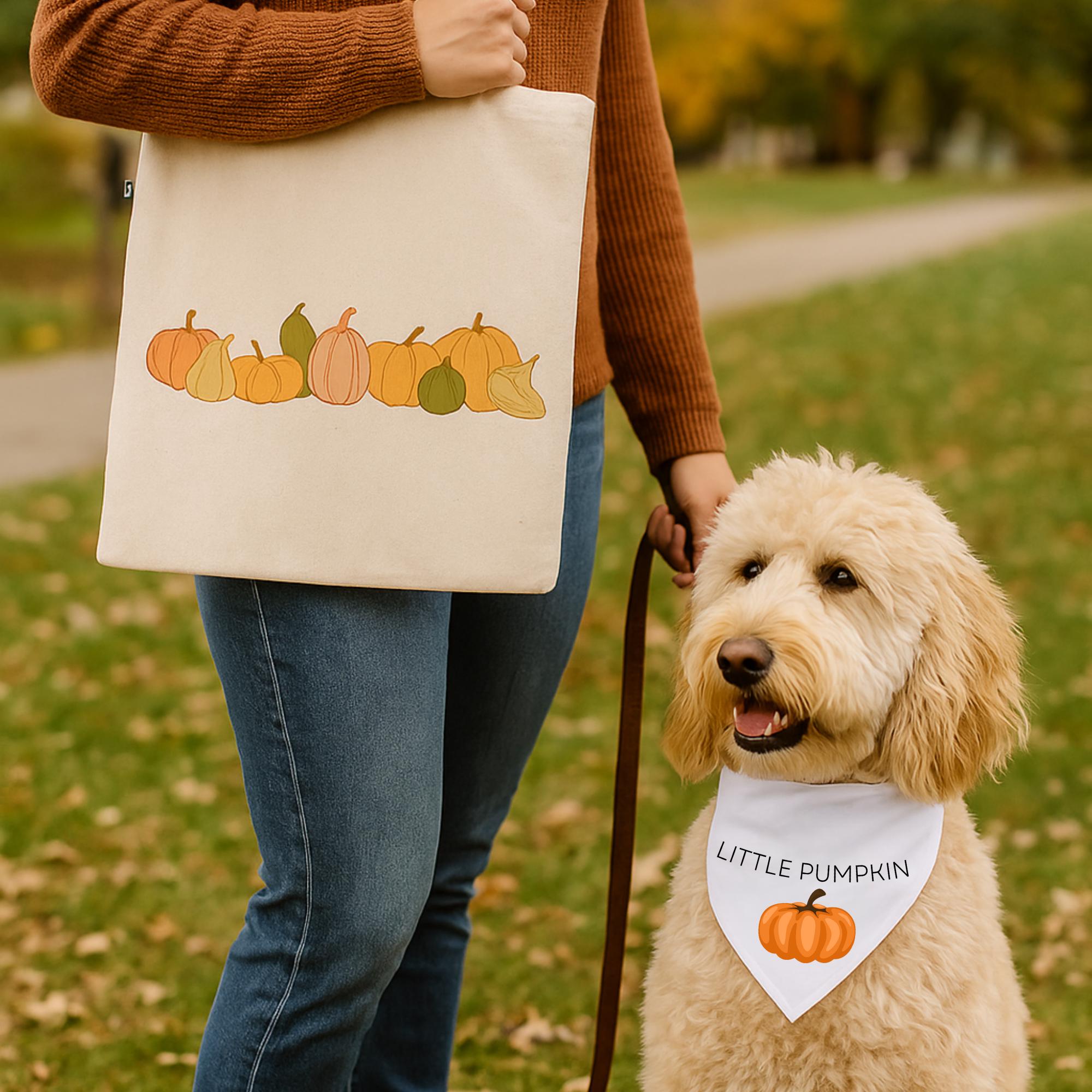 Little Pumpkin Dog Bandana + Fall Harvest Tote Bag Set – Autumn Pet Gift