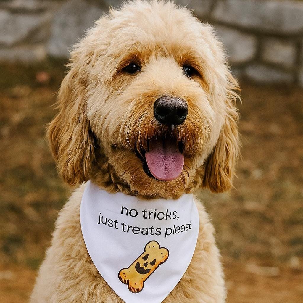 No Tricks Just Treats Dog Bandana + Halloween Tote Bag Set – Spooky Cute Gift