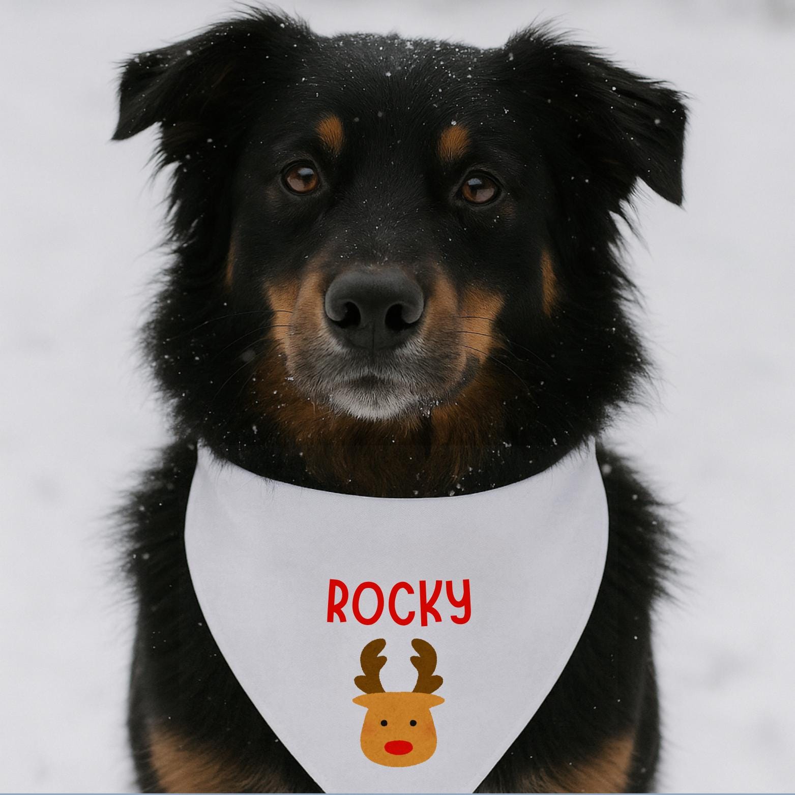 Reindeer + Dog Name Bandana - Personalized Holiday Pet Scarf