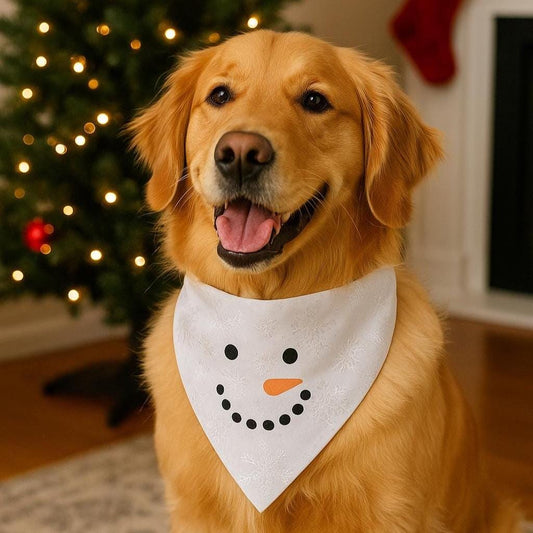 Snowman Face Dog Bandana - Winter Scarf