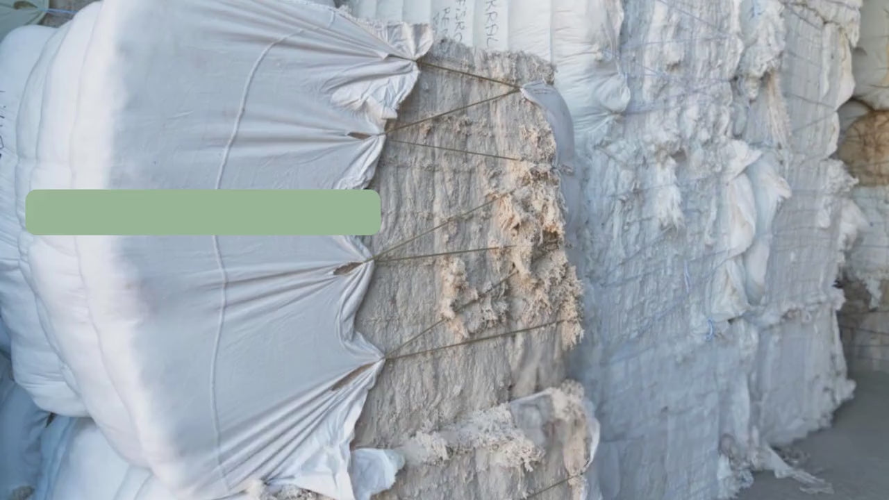 Cherry Blossom Matching Set | Flower Tote & Pet Bandana | Eco-Friendly Gift for Pet Owners | Spring Nature Lover Duo