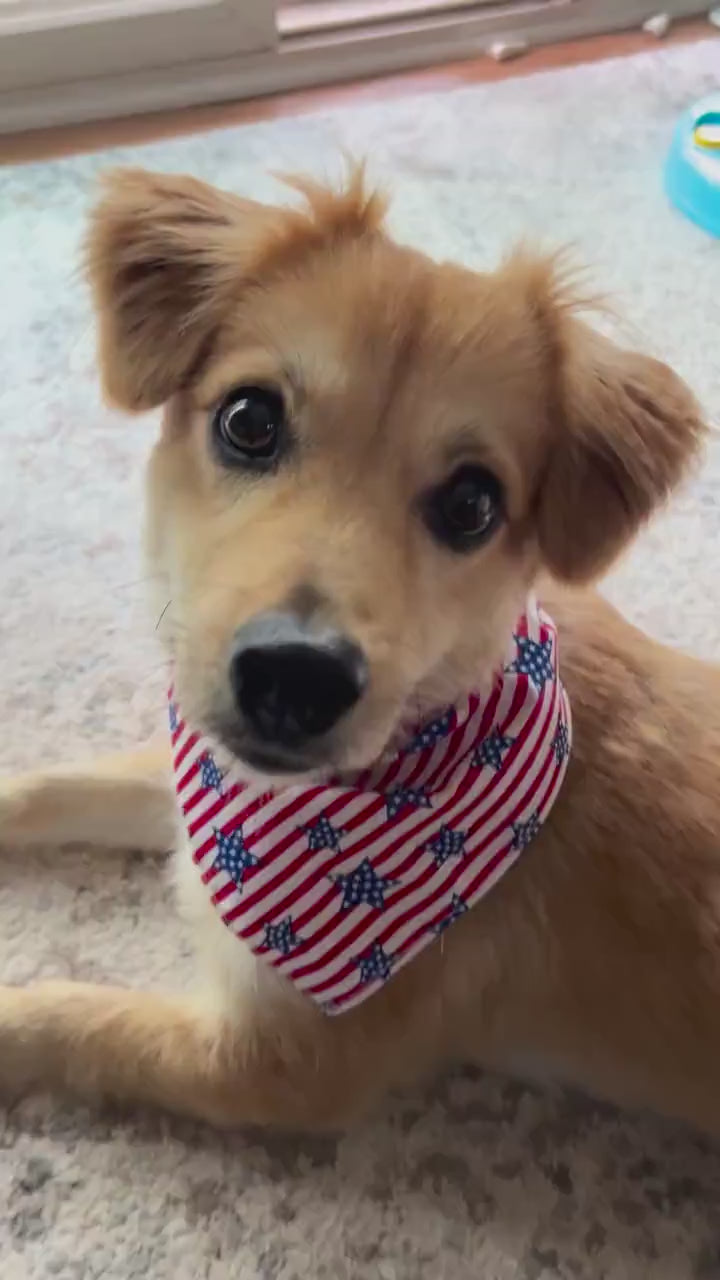 American Flag Dog Bandana – Hand-sewn Stars & Stripes Pet Scarf, 4th of July Outfit